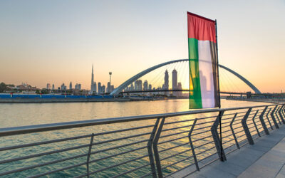 UAE announces 5 major projects: Tax, partnerships, climate transparency and more